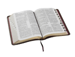 The Holy Bible Pictures, Images and Photos