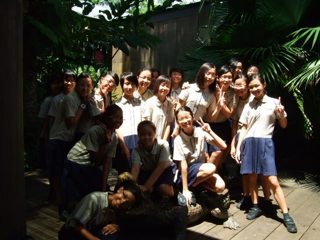 Wellington Primary School 6Diligence 2008 Class Photo