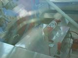th_dsc03818.jpg
