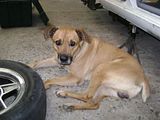 th_11688_4d7f41fc48efe.jpg