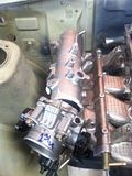 th_15255_4eed393ed4ef6.jpg