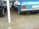 th_9665_4bb328c301941.jpg