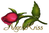 0_PIMPOLLO_ROSA_angelskriss-1.gif picture by fonditos