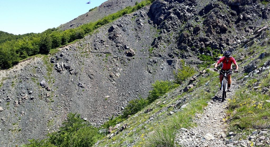 20140608_120104_zpsac0d7b04.jpg
