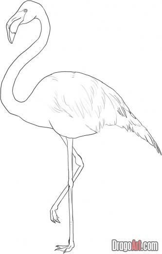 flamingo draw