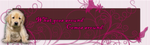 Posted Image