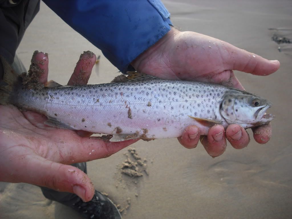 DSCF0187.jpg