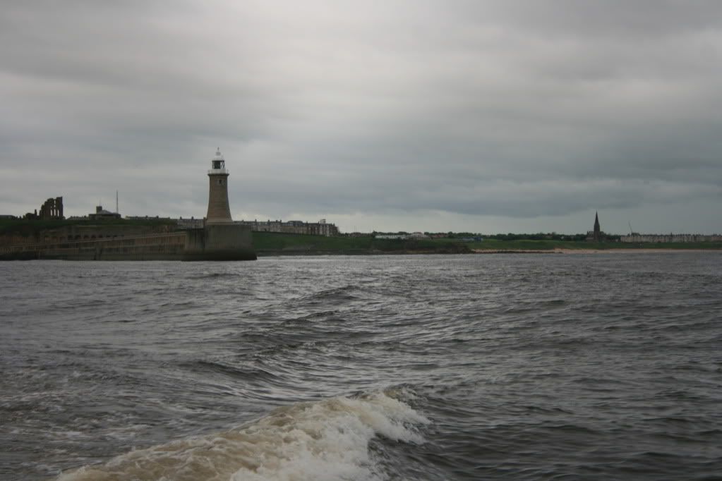 IMG_2814.jpg