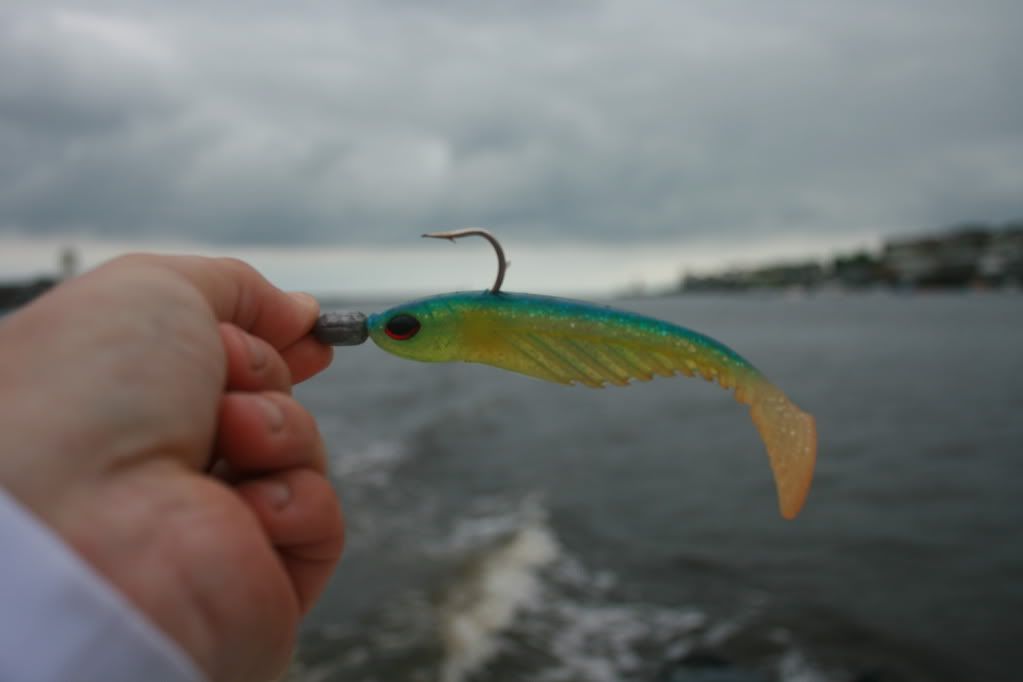 IMG_2823.jpg