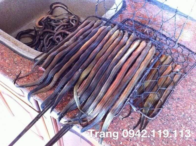 Lươn chiên giòn Trang Nguyễn - 11