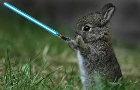 jedi-rabbit.jpg