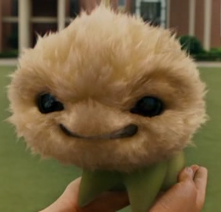 CJ7