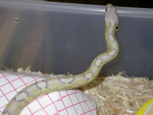 DSCN0164.jpg