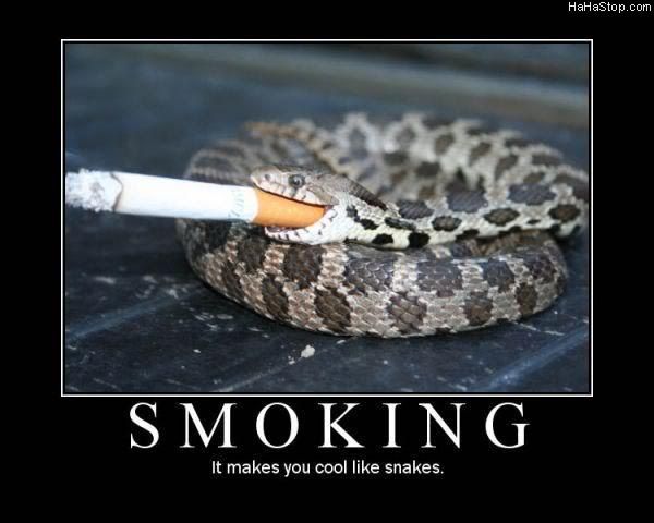 Smoking_Is_Cool975.jpg