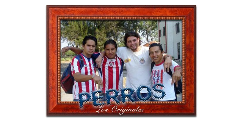 http://i297.photobucket.com/albums/mm224/SOLOMEXICANOS/PERROSCUADRO.jpg