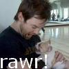 David Cook -Rawr! Icon Pictures, Images and Photos