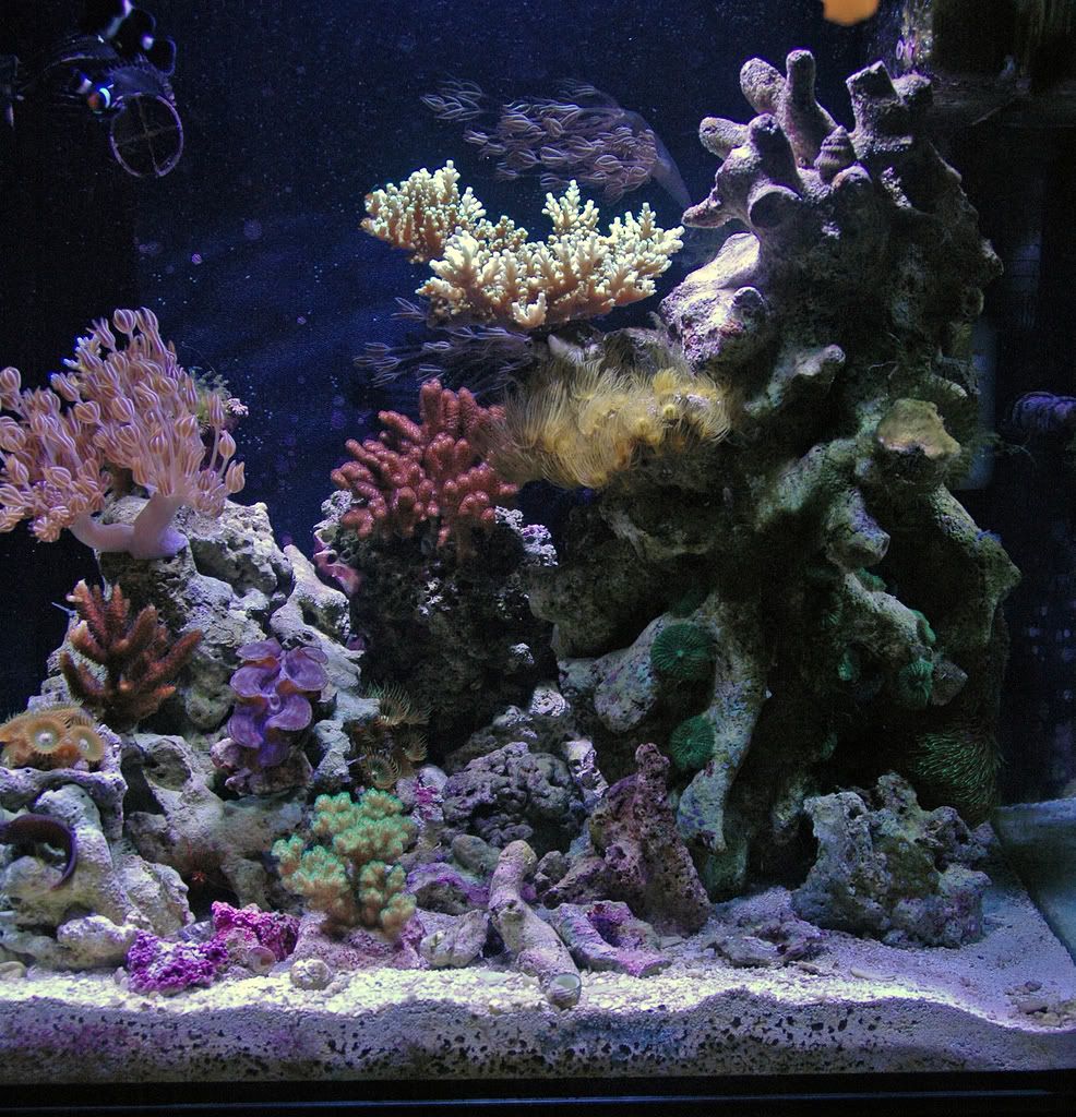 aquarium-1.jpg