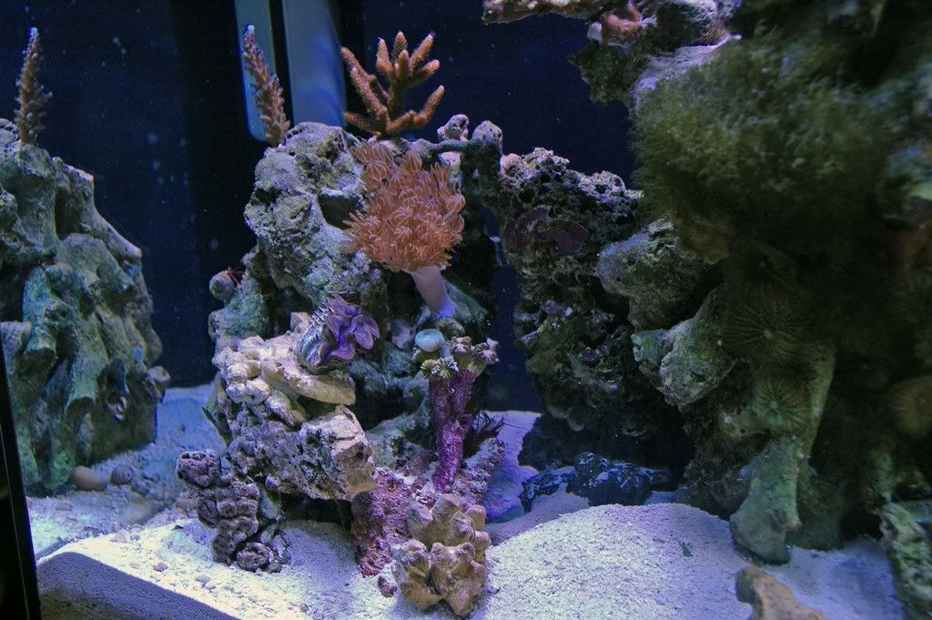 aquarium2.jpg