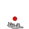 kittyball.gif