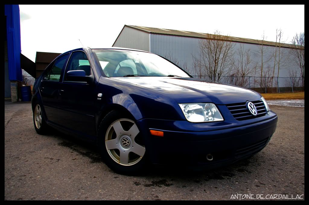 Jetta7.jpg