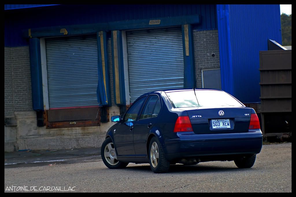 Jetta9.jpg