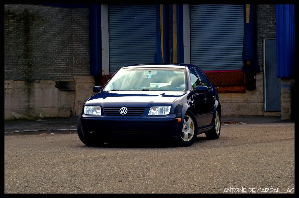 jetta2.jpg