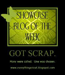 Showcase Blog