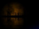 th_forest_ablaze_by_drydareelin-d3jsf91-