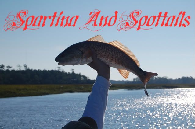 Spartina And Spottails