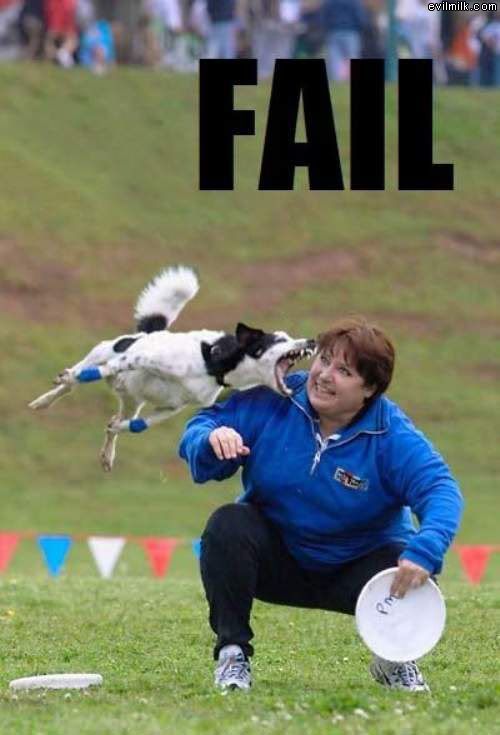 Fail_Dog.jpg