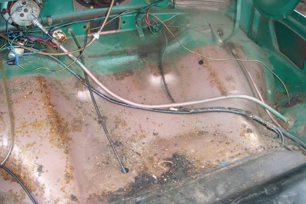 Image may have been reduced in size. Click image to view fullscreen.