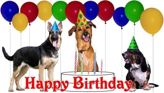 Happy Birthday Dogs Pictures, Images and Photos
