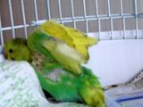 th_DSCF1272.jpg