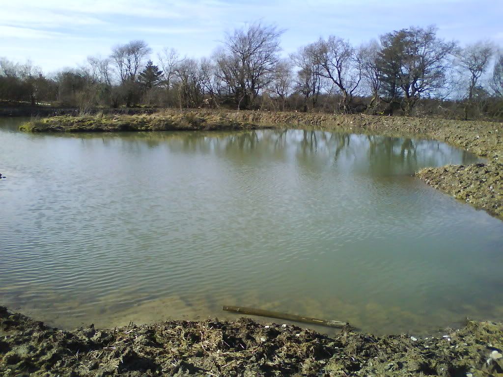 DSC00005.jpg