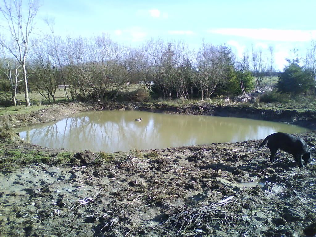 DSC00006-1.jpg