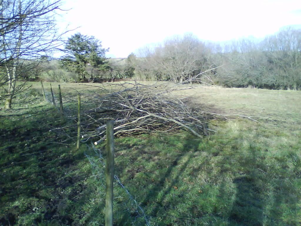 DSC00008-1.jpg