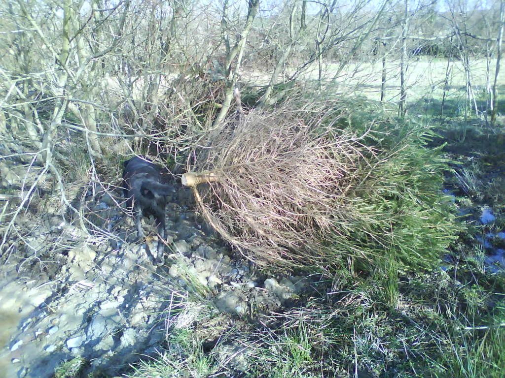 DSC00010.jpg