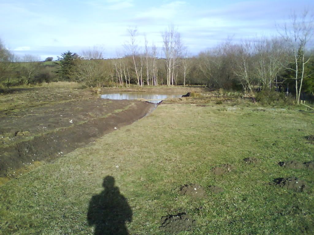 DSC00013.jpg