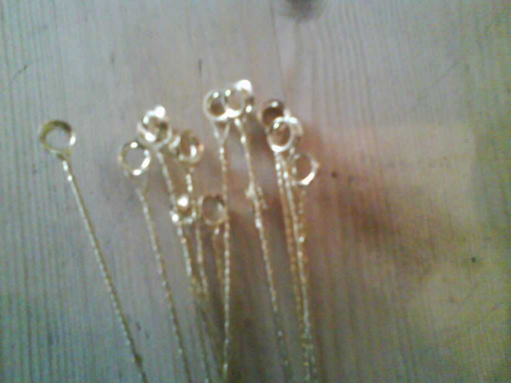 DSC00130.jpg
