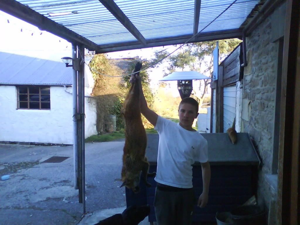 DSC00316.jpg