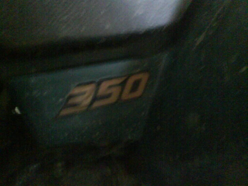 DSC00339.jpg