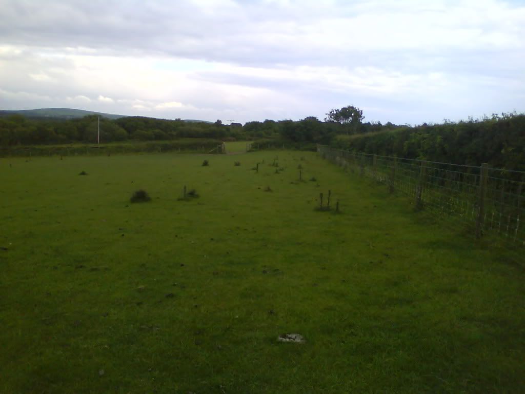 DSC00428.jpg