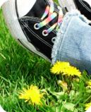 converse Pictures, Images and Photos