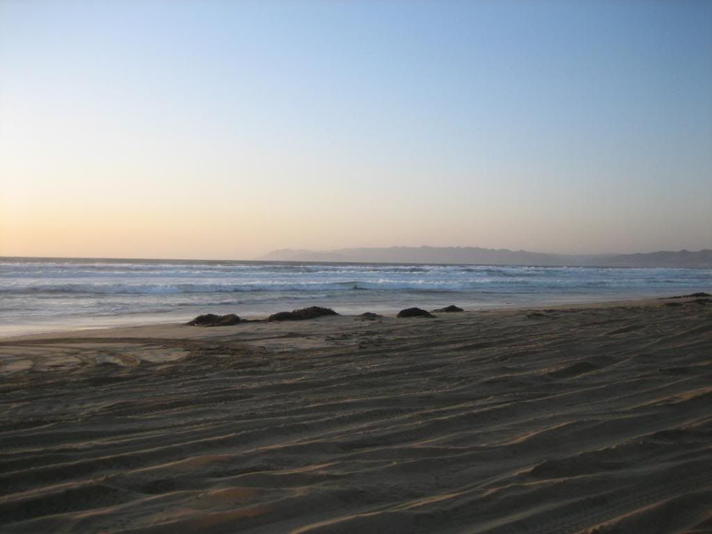 IMG_2466.jpg