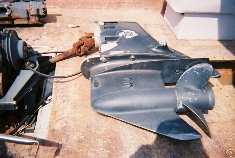 2391_3.jpg