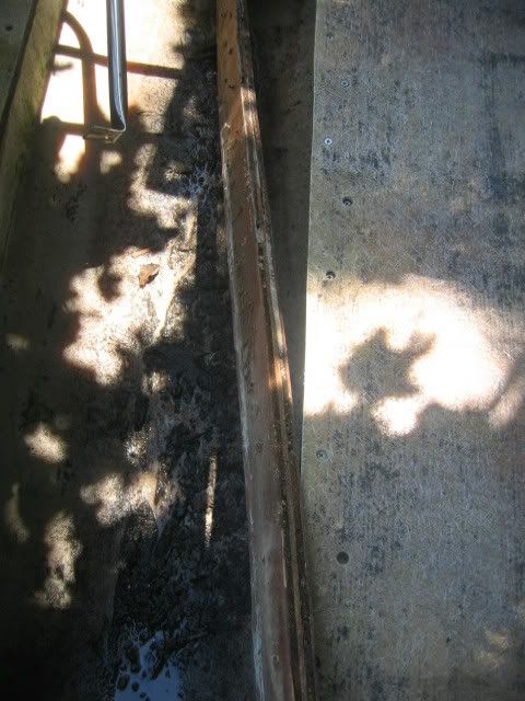 IMG_3005.jpg