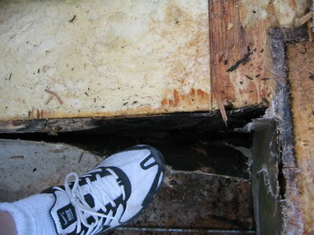 IMG_3014.jpg