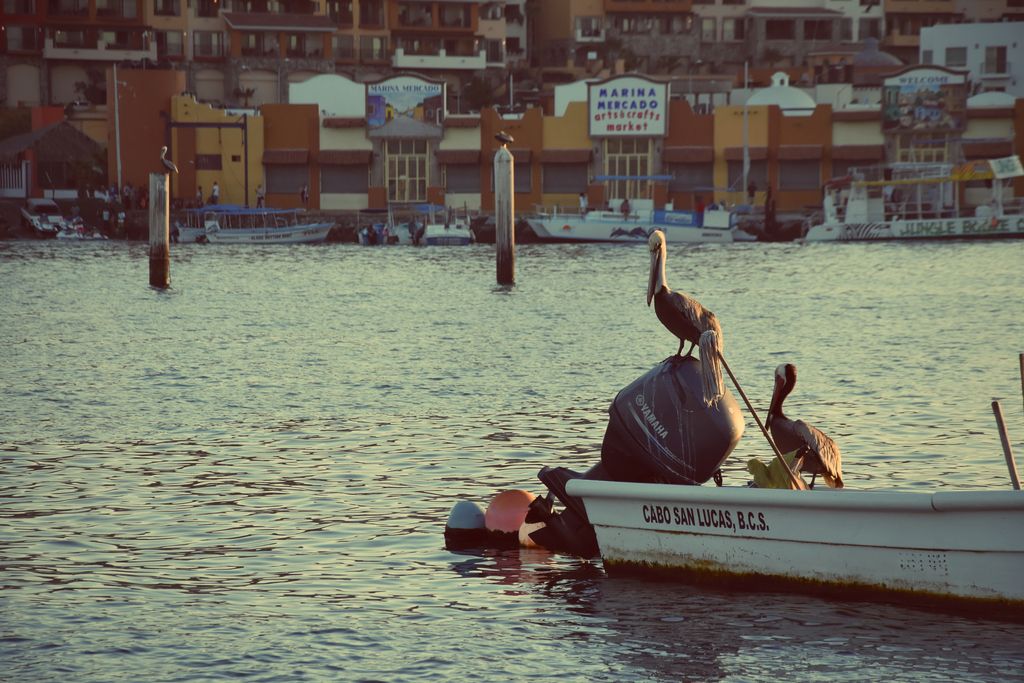  photo Cabo.jpg