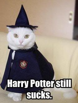 harry-potter-still-sucks.jpg