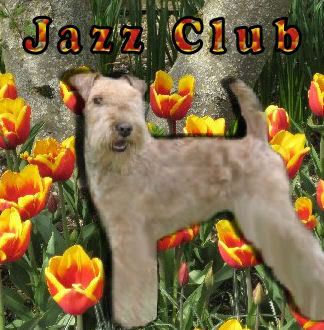 Jazz Club Cashmere